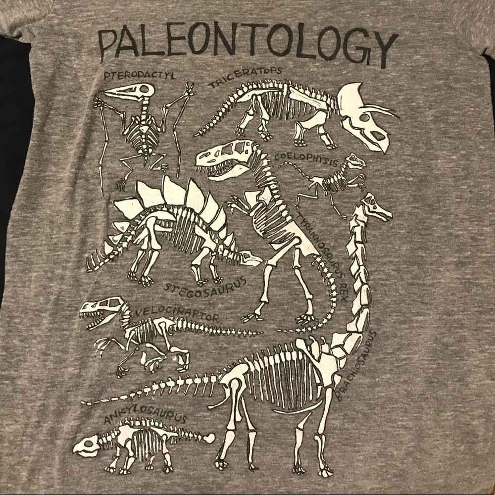 Grey dinosaur t-shirt